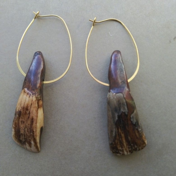 Authentic American Buffalo Teeth on Brass Hoops - Picture 5 of 7